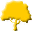 yellow tree